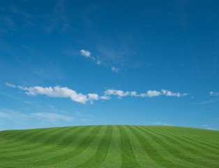 Green Field with Blue Sky on Horizon