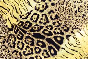 texture of print fabric striped leopard