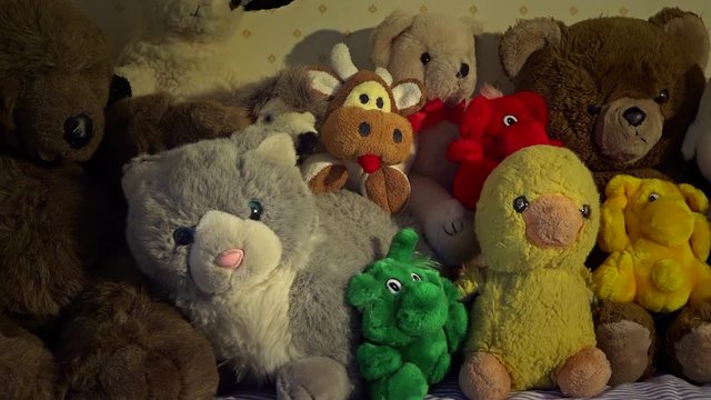 Bed full of stuffed animals.
Sitting in a row, some of them well used and loved. Closeup.Camera movement.Traveling left to right.
