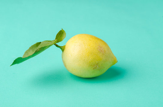 Fresh lemon on green pastel background