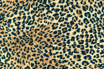 texture of print fabric striped leopard