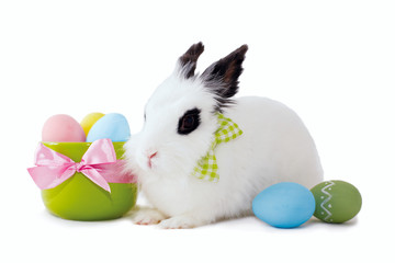 Fluffy white rabbit with Easter eggs isolated on white backgroun