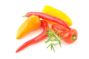 peppers on white background