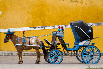 horse carriage in izamal in mexico