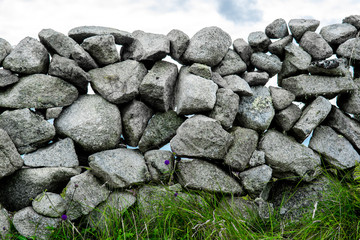 Steinmauer mit Blumen und Gras