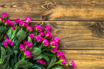 Pink roses on wood background with copyspace