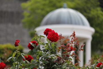横須賀ヴェルニー公園