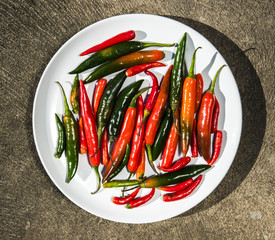 Red and green chilly peppers