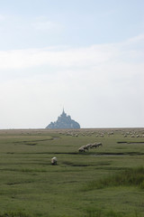 Mont Saint Michel, les prés salés