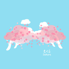 sakura and cherry blossom