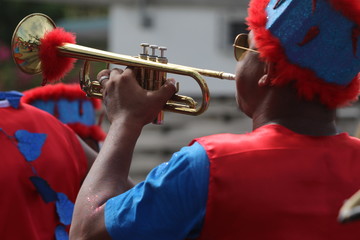 Carnaval 2016 - Parade du Littoral