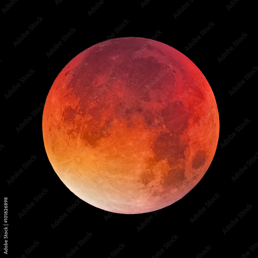 Wall mural bloody moon, full moon
