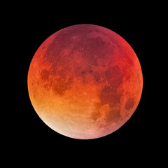 Fototapeta premium Krwawy księżyc, pełnia księżyca