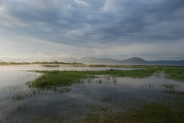 Cerknica intermittent lake, nature reserve, a protected area,  karst phenomenon, aquatic vegetation, marsh, river disappearing, flood, swamp, morning, misty, silent, pacefulness,