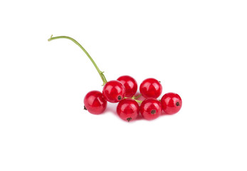 Bunch of red currant berries isolated on white