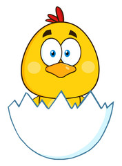 Cute Yellow Chick Cartoon Character Hatching From An Egg