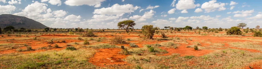 Foto op Plexiglas Nationaal park Tsavo East, Kenia © forcdan