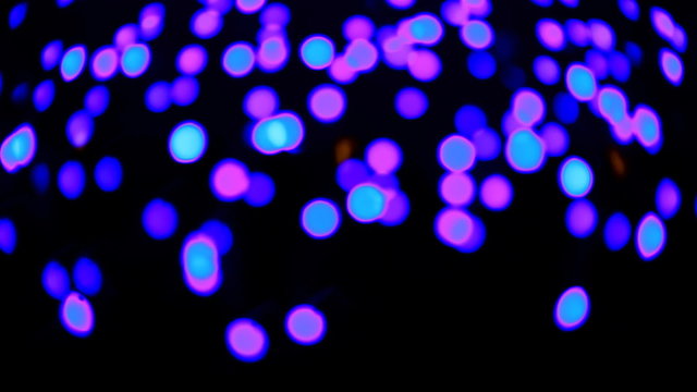 Blurred, bokeh lights background. Abstract sparkles.
