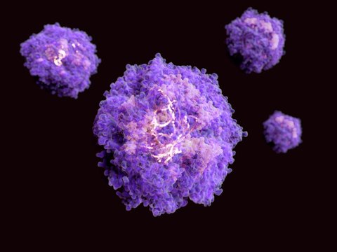 Virus mit einer 
Protein-Lipid-Hülle, ein Proteinkapsid und RNA im Kapsid