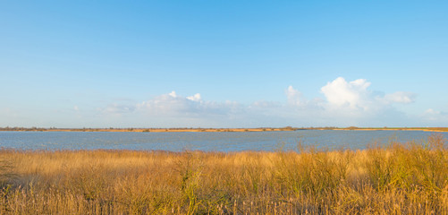 Fototapeta na wymiar Shore of a lake below a blue cloudy sky in winter