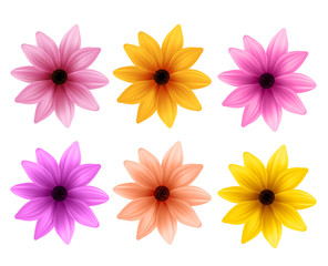 Fototapeta premium Realistic 3D Set of Colorful Daisy Flowers for Spring Season Isolated in White Background. Vector Illustration 