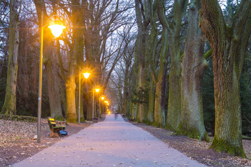 alley in the park

