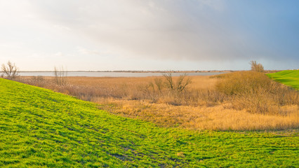 Shore of a lake below a blue cloudy sky in winter