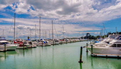 Fototapeta premium Yachts moored in Pine Harbor, Auckland, New Zealand