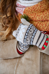 Fototapeta na wymiar Woman wearing knitted mittens holding pine branch