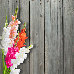 Beautiful Flowers on Wooden Background