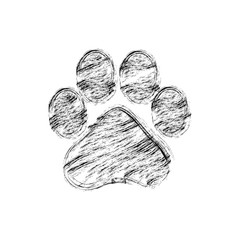 hand drawn doodle of animal footprint, Vector illustration.