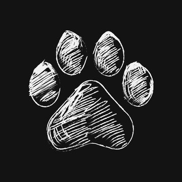 Premium Vector | Cat paw sketch hand drawn doodle of animal footprint  vector illustration