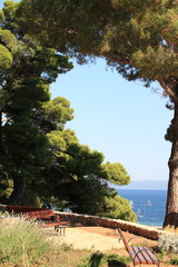 Beach in Brac, year 2013