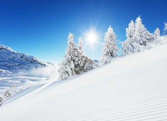 Fototapeta na wymiar Beautiful winter slope in the mountains
