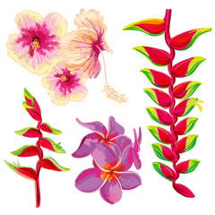 Bright beautiful tropical flowers isolated on white background. Vector illustration. Eps 10.