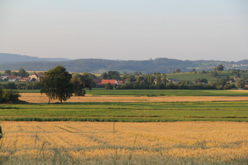 Fototapeta premium Bodensee, year 2013