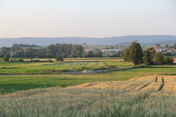 Bodensee, year 2013
