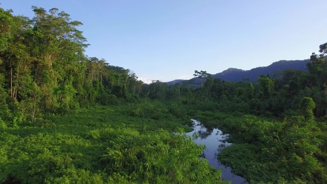 Flight over amazon at sunset