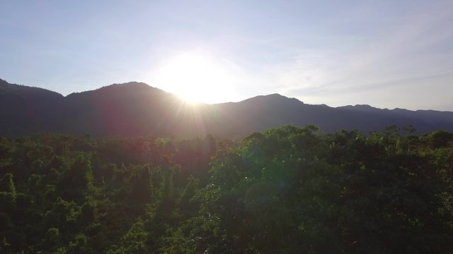 Flight over amazon at sunset