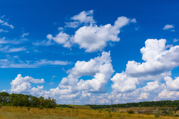 Obraz premium Summer landscape with green grass and clouds