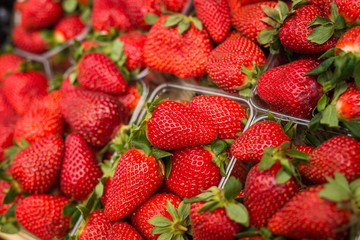 Fresh red strawberries arranged in baskets ready for sale at marketplace. Shallow depth of field.