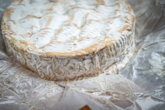 Whole camembert cheese