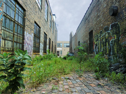 Urban alley with overgrown weeds and graffiti - landscape photo
