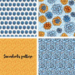 Trend of succulents patterns and stripes.