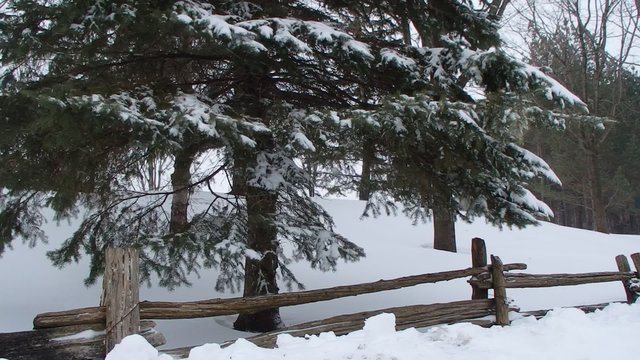 hiver