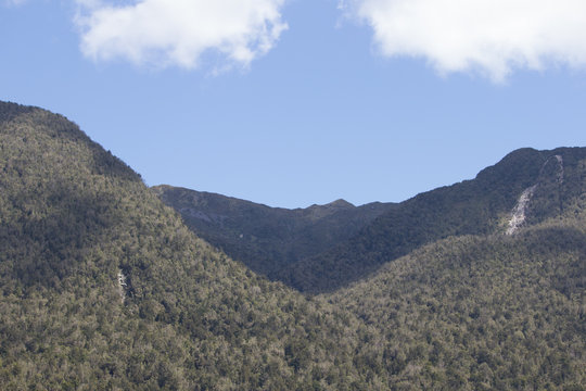 Dense forest mountains