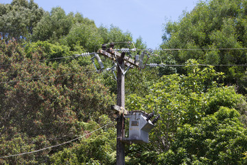 Aged Power Transformer