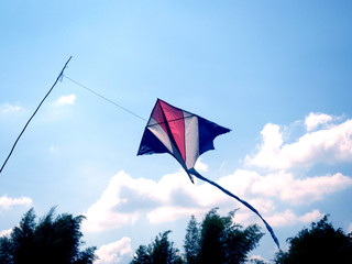 Kite isolated on blue background