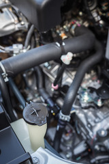 Fototapeta premium Detail of new car engine