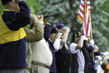 Veterans Saluting - obrazy, fototapety, plakaty